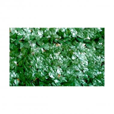 Sempreverde lauro 1,5x3 - verdelook